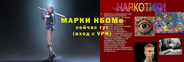 прущие грибы Богородицк