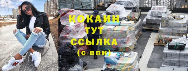 прущие грибы Богородицк