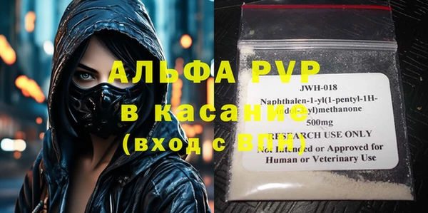 прущие грибы Богородицк