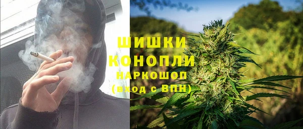прущие грибы Богородицк