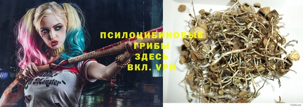 а пвп мука Богданович