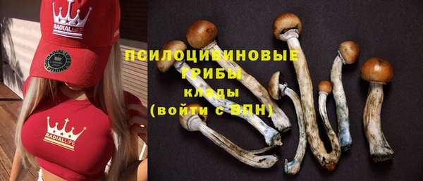 а пвп мука Богданович