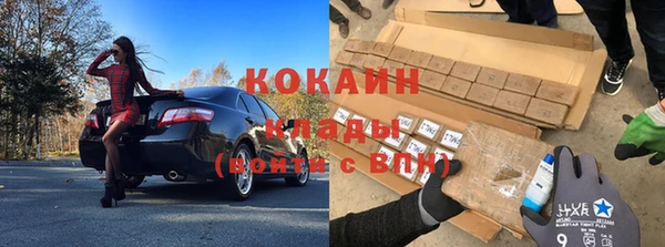 прущие грибы Богородицк