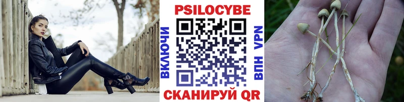 Купить  Петушки  Псилоцибиновые грибы мухоморы 